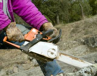 Baztango Udalak aldi baterako bortz lanposturen kontratazio deialdia egin du