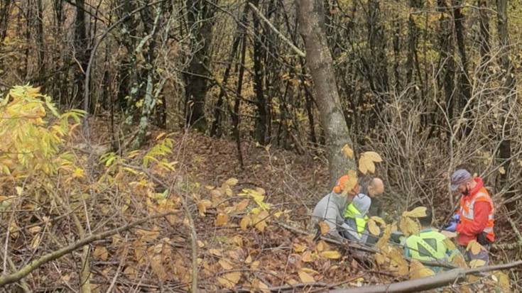 Mendiko langile bat zauritu da Beran arbolak botatzen ari zenean