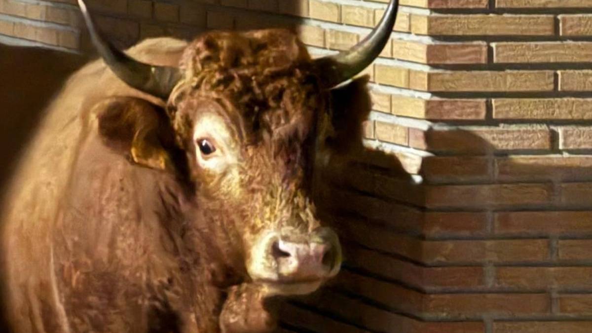 Azienden kontrola eta segurtasuna bermatzeko «elkarlanerako» deia egin du Goizuetako Udalak