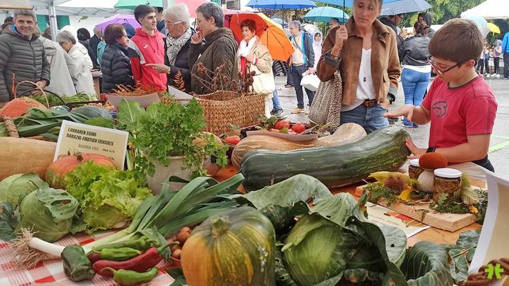 Bortzirietako 15 gazta Lurraren eguneko lehiaketan