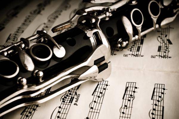 Baztango Udal Musika eskolan klarinete irakaslea behar dute