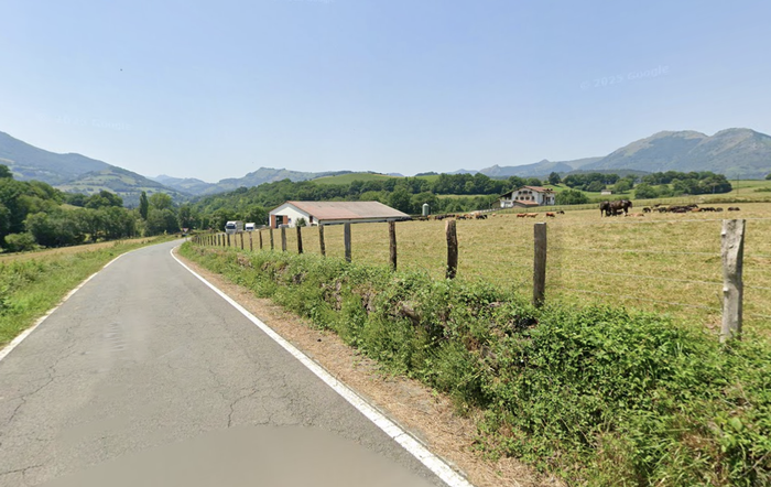 Urtarrilaren 7an hasiko dute Nafarroaren iparralde osoan dermatosi nodularraren aurkako txertaketa kanpaina