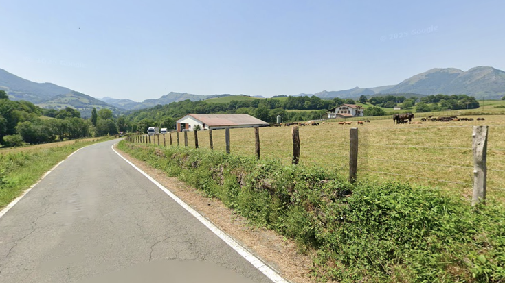 Urtarrilaren 7an hastekoa dute Nafarroaren iparralde osoan dermatosi nodularraren aurkako txertaketa kanpaina