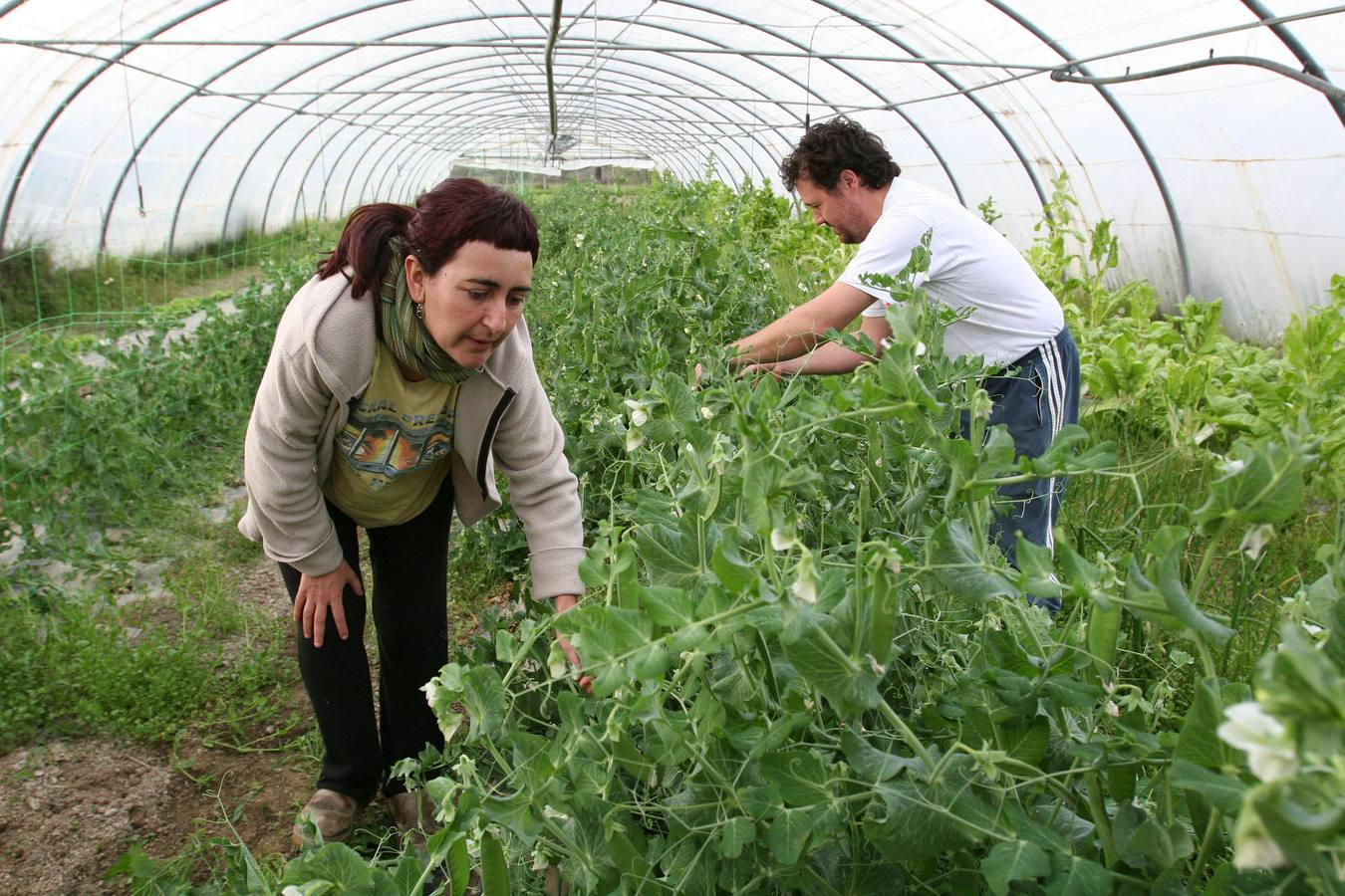 'Lehen sektorean ekiteko gida' aurkeztu du Cederna Garalurrek