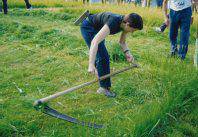 Ansa izeba-ilobak segan