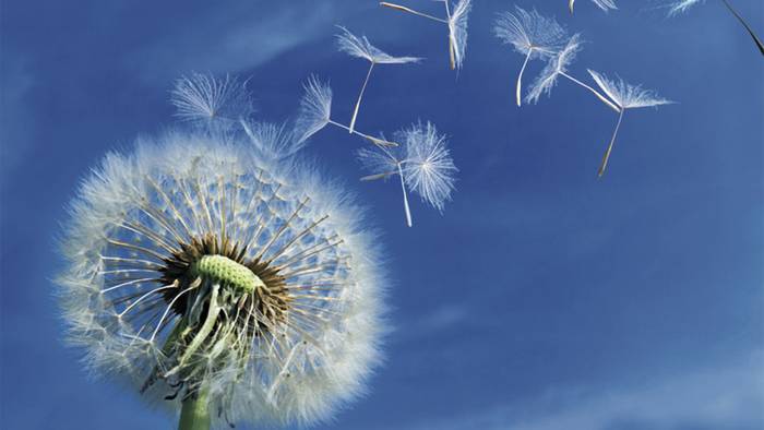 Asmaren inguruko jakingarriak Lesakako Osasun Zentroaren eskutik