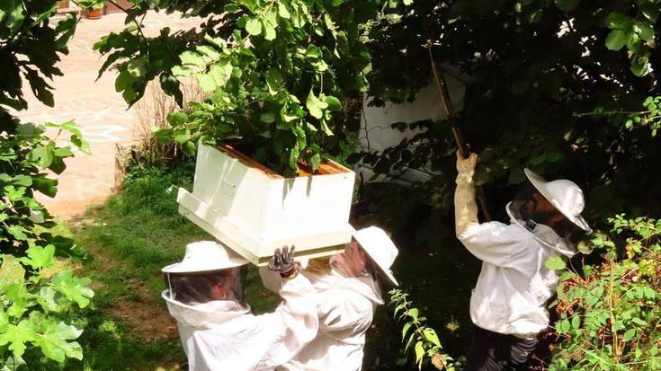 Erlekume bat bildu dute Zubietan