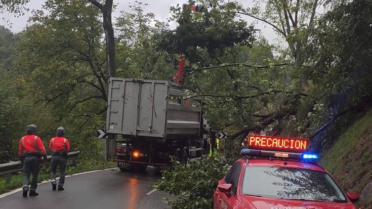 Donamariatik Doneztebeko bidean zuhaitz bat erori da errepidera