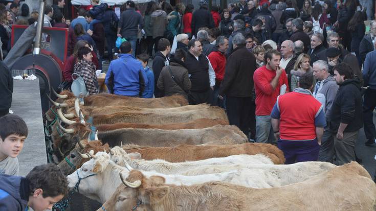 125 azienda plazaratu ziren Lesakako feria egun jendetsuan