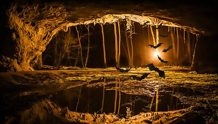 Gauenararen nazioarteko gaualdirako sarrerak agortu dira Saran