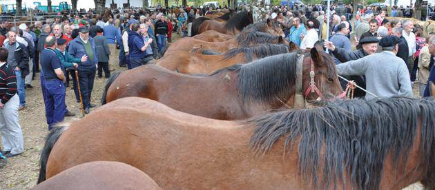 Urtetik urtera azienda gehiagorekin sendotzen ari da udazkeneko feria