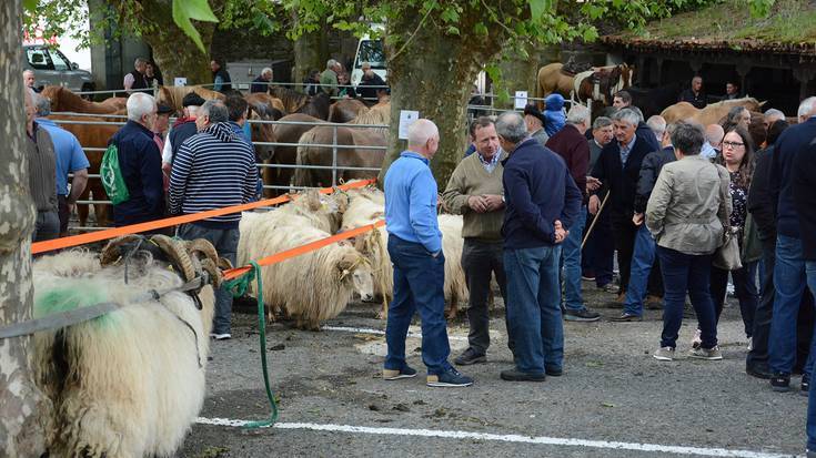 Maiatzaren 8an Udaberriko feria Donezteben