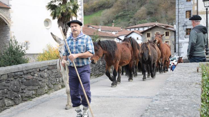 Feria egun handia izan dute Goizuetan