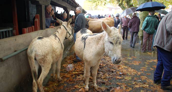 Doneztebeko feriak ospatuko dituzte azaroaren 13an
