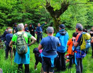 Berdabiora joanez borobildu dute Trabuko Bidea
