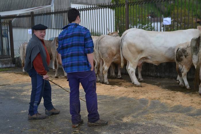 Berako IV. Azienda feria apirilaren 27an izanen da