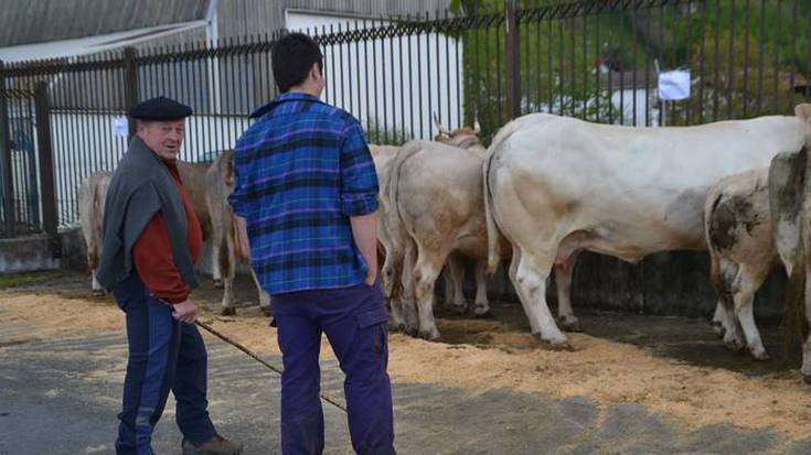 Berako IV. Azienda feria apirilaren 27an izanen da