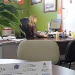 Kontabilitate zerbitzuak