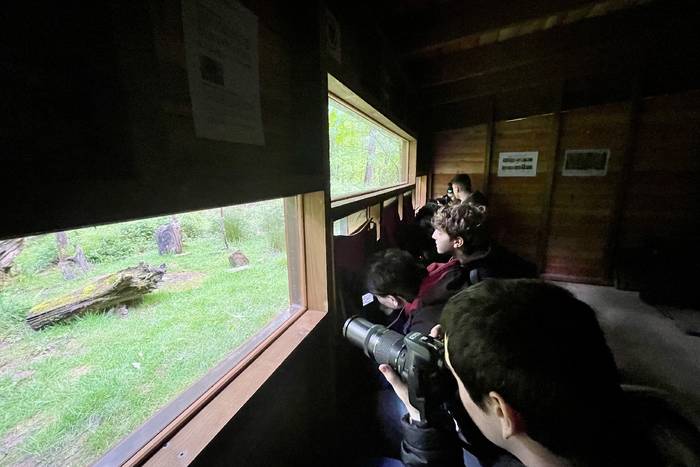 Bertizko faunaren behatoki ‘gordelekura' hurbiltzea, publiko guztientzako proposamena