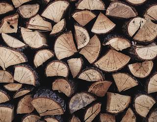 Azaroaren 20an bukatuko da Zubietan heldu den urterako egur loteak eskatzeko epea