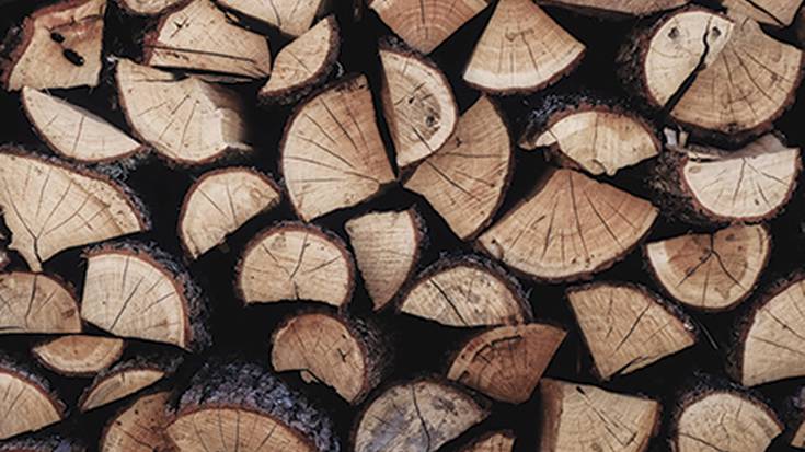 Azaroaren 20an bukatuko da Zubietan heldu den urterako egur loteak eskatzeko epea