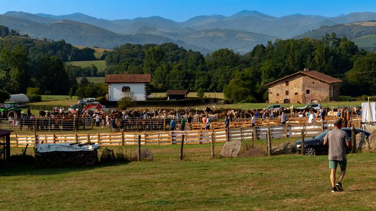 XLIX. Artzain Eguna ospatu zuten Amaiurren abuztuaren 15ean